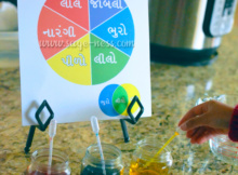 Gujarati Color Wheel -Montessori Inspired Holi Activity