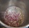 Instant Pot Saute mode